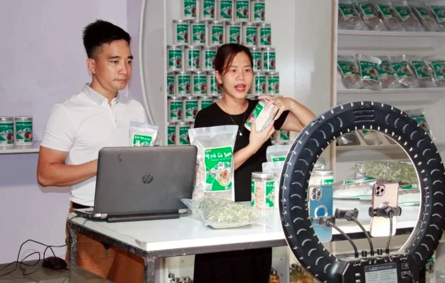 Vietnam, Singapore promote cross-border e-commerce